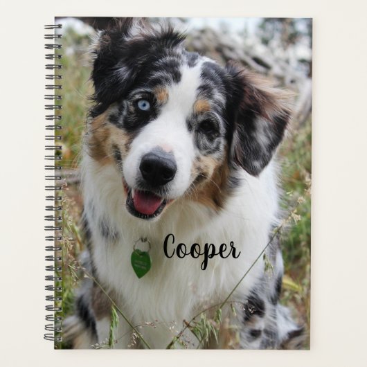 Aangepersonaliseerde Merle Australian Shepherd Pup Planner (Voorkant)