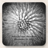 Aangepersonaliseerde namen van Agave Spikes, set v Drankjes Onderzetter (Voorkant)