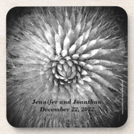 Aangepersonaliseerde namen van Agave Spikes, set v Drankjes Onderzetter