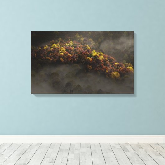 Aangeraakt door de zon canvas afdruk (Insitu (Houten vloer))