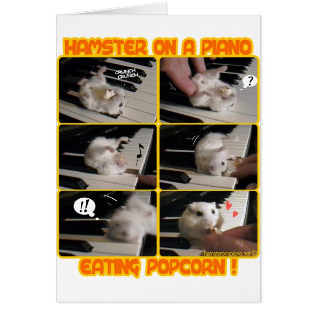 Aanhangwagen (Voorkant)