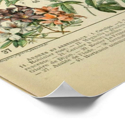 aanjager 1909 - Adolphe Millot Affiche Poster (Hoek)