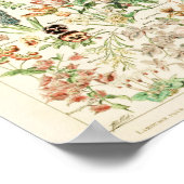 aanjager 1909 - Poster Adolphe Millot (Hoek)