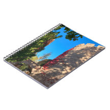 Aankomst bij de burcht