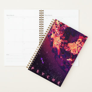Aankomst Planner