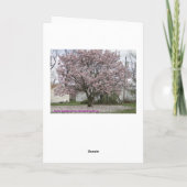 Aankomst van de Lente, Magnolia Tulip Tree Kaart (Achterkant)