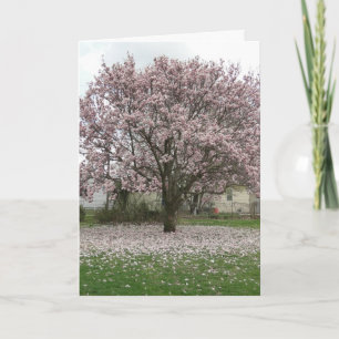 Aankomst van de Lente, Magnolia Tulip Tree Kaart