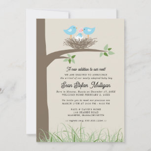 Aankondiging adoptie Baby Bird's Nest