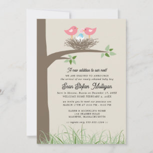 Aankondiging adoptie Baby Bird's Nest