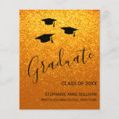 Aankondiging budget aangepast Gold Glitter-Afstude (Voorkant)