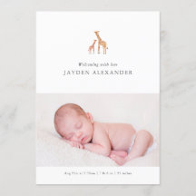 Aankondiging Giraffe Birth