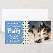 Aankondiging goedkeuring kat/Kitten (Voorkant / Achterkant)