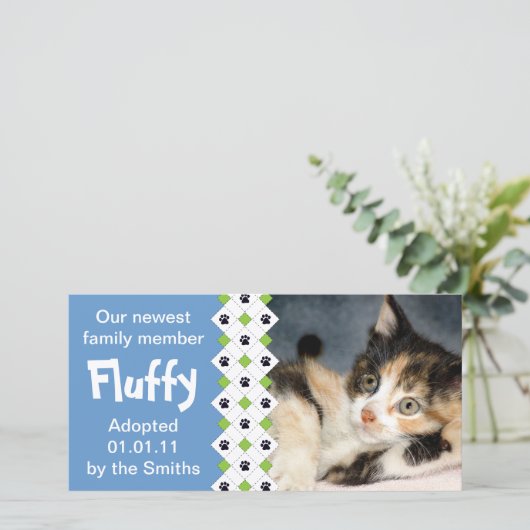 Aankondiging goedkeuring kat/Kitten (Staand voorkant)