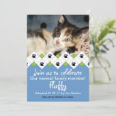 Aankondiging goedkeuring kat/Kitten (Staand voorkant)