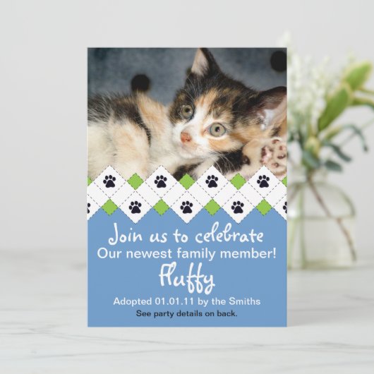 Aankondiging goedkeuring kat/Kitten (Staand voorkant)