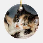 Aankondiging goedkeuring kat/Kitten Keramisch Ornament (Achterkant)