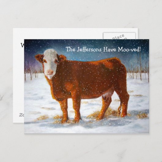 AANKONDIGING: HEREFORD BEEF KOE AANKONDIGINGSKAART (Voorkant / Achterkant)