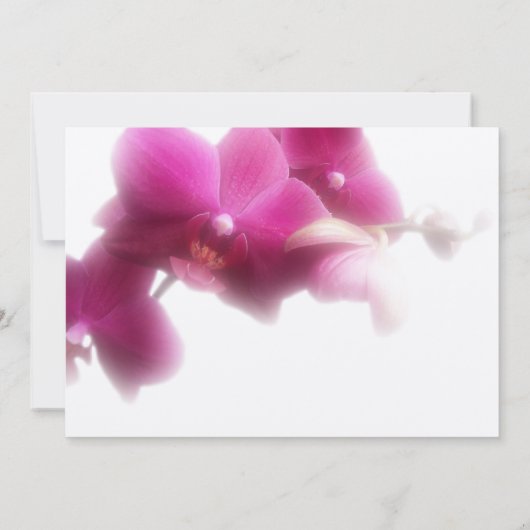 Aankondiging Memorial Service (Achterkant)