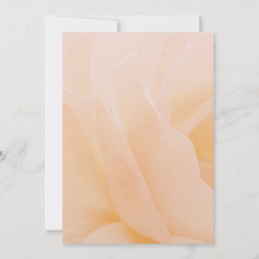 Aankondiging Memorial Service (Achterkant)