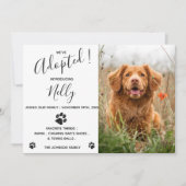 Aankondiging nieuwe Dog Cat Pet (Voorkant)