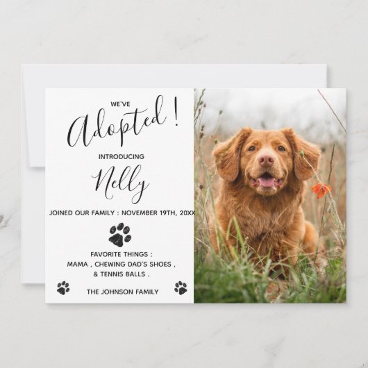 Aankondiging nieuwe Dog Cat Pet (Voorkant)