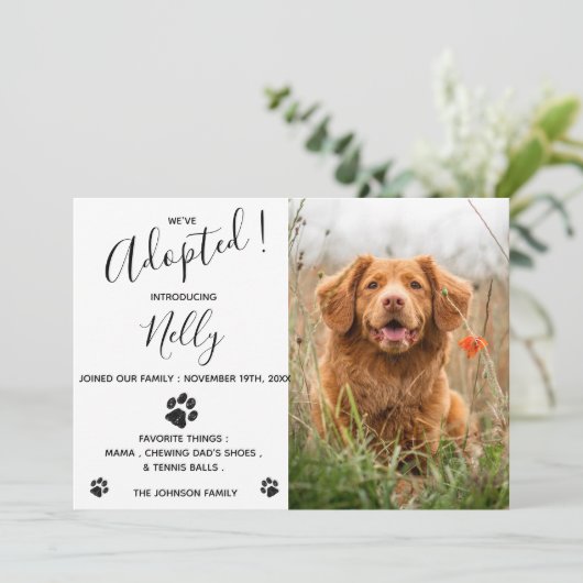 Aankondiging nieuwe Dog Cat Pet (Staand voorkant)