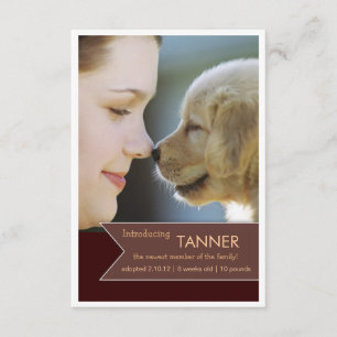 Aankondiging nieuwe foto van Pet Brown Banner