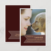 Aankondiging nieuwe foto van Pet Brown Banner (Voorkant / Achterkant)