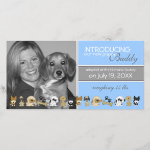 Aankondiging nieuwe hond-adoptie