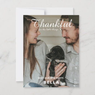Aankondiging nieuwe huisdierfoto Thanksgiving