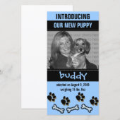 Aankondiging nieuwe Pet Adoption (Voorkant / Achterkant)