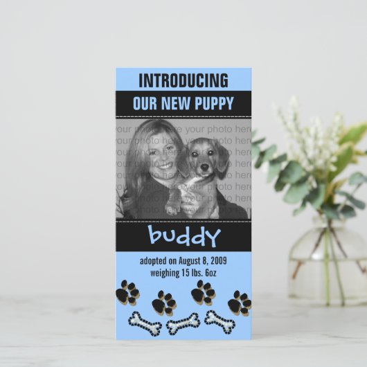 Aankondiging nieuwe Pet Adoption (Staand voorkant)