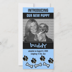 Aankondiging nieuwe Pet Adoption