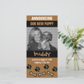 Aankondiging nieuwe Pet Adoption (Staand voorkant)