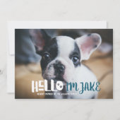 Aankondiging nieuwe Pet Adoption | HALLO (Voorkant)