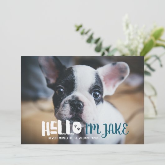 Aankondiging nieuwe Pet Adoption | HALLO (Staand voorkant)