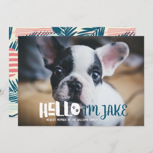 Aankondiging nieuwe Pet Adoption | HALLO (Voorkant / Achterkant)