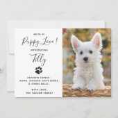 Aankondiging nieuwe Pet Puppy Dog (Voorkant)