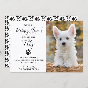 Aankondiging nieuwe Pet Puppy Dog