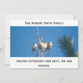 Aankondiging - Onze nest uitzaaien ... (Voorkant)