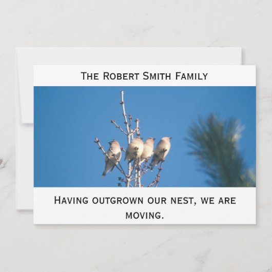 Aankondiging - Onze nest uitzaaien ... (Voorkant)