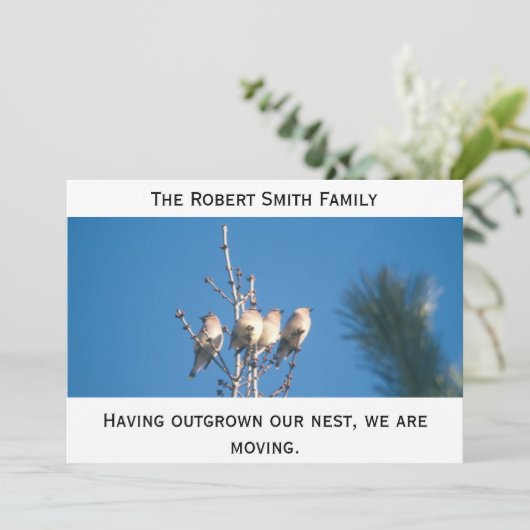 Aankondiging - Onze nest uitzaaien ... (Staand voorkant)