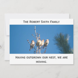 Aankondiging - Onze nest uitzaaien ...