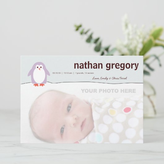 Aankondiging Penguin Birth (Staand voorkant)