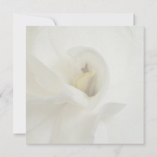 Aankondiging uitnodiging Memorial Service (Achterkant)