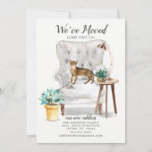 Aankondiging van Abyssiniaanse kat Moving (Voorkant)