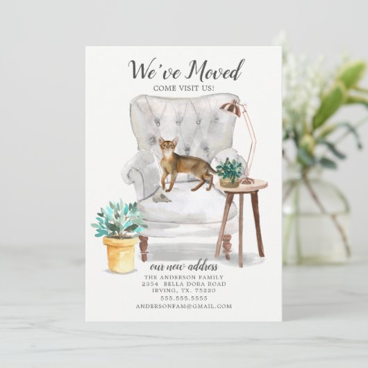 Aankondiging van Abyssiniaanse kat Moving (Staand voorkant)