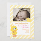 Aankondiging van Big Bird Birth (Voorkant)