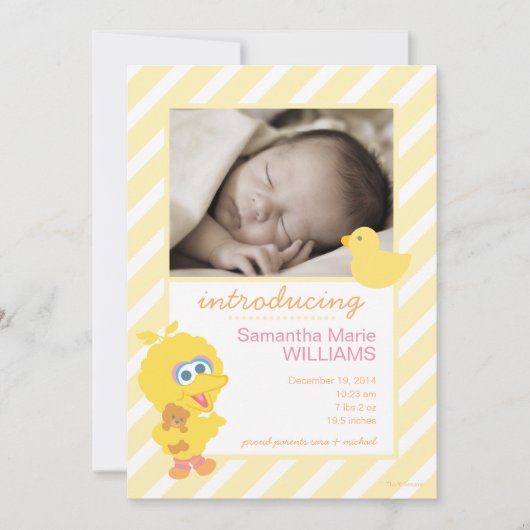 Aankondiging van Big Bird Birth (Voorkant)