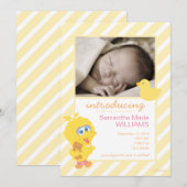 Aankondiging van Big Bird Birth (Voorkant / Achterkant)